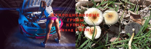 jwh Богданович